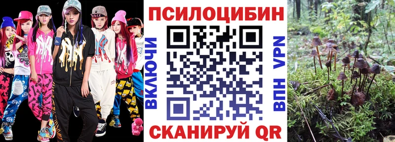 Купить  Венёв  Галлюциногенные грибы прущие грибы 